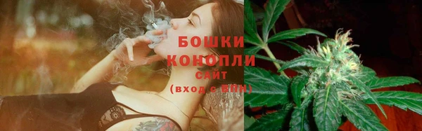 дурь Алексеевка