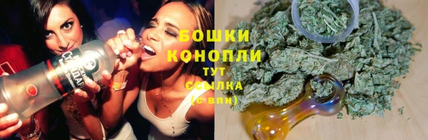 дурь Алексеевка