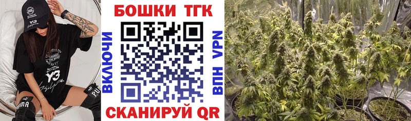 Бошки Шишки семена Арамиль